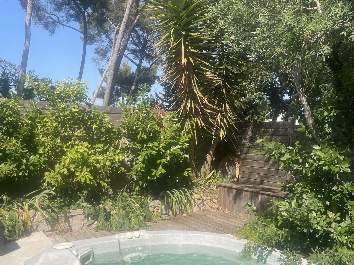 La piscine et les terrasses 1